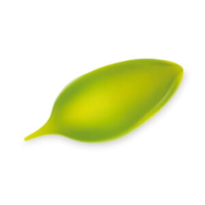 chocolade decoratie leaf groen