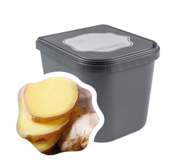 IJsmakerij ci Vediamo Horeca gember 2,5l